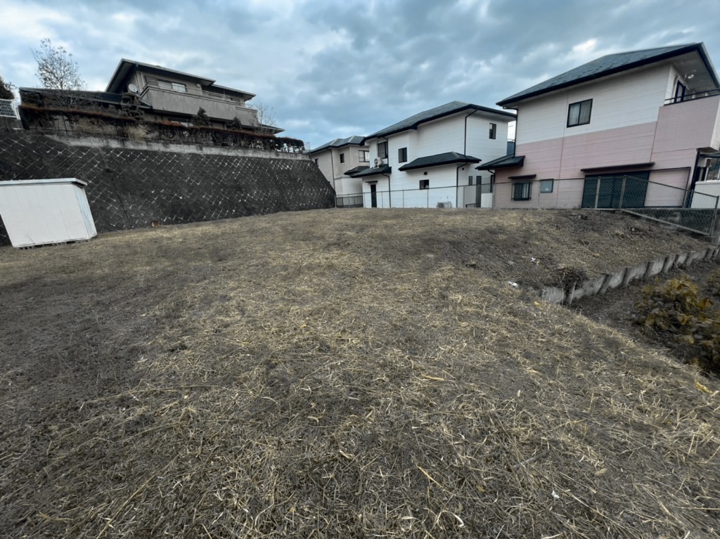 『日々のウルトラ』その11